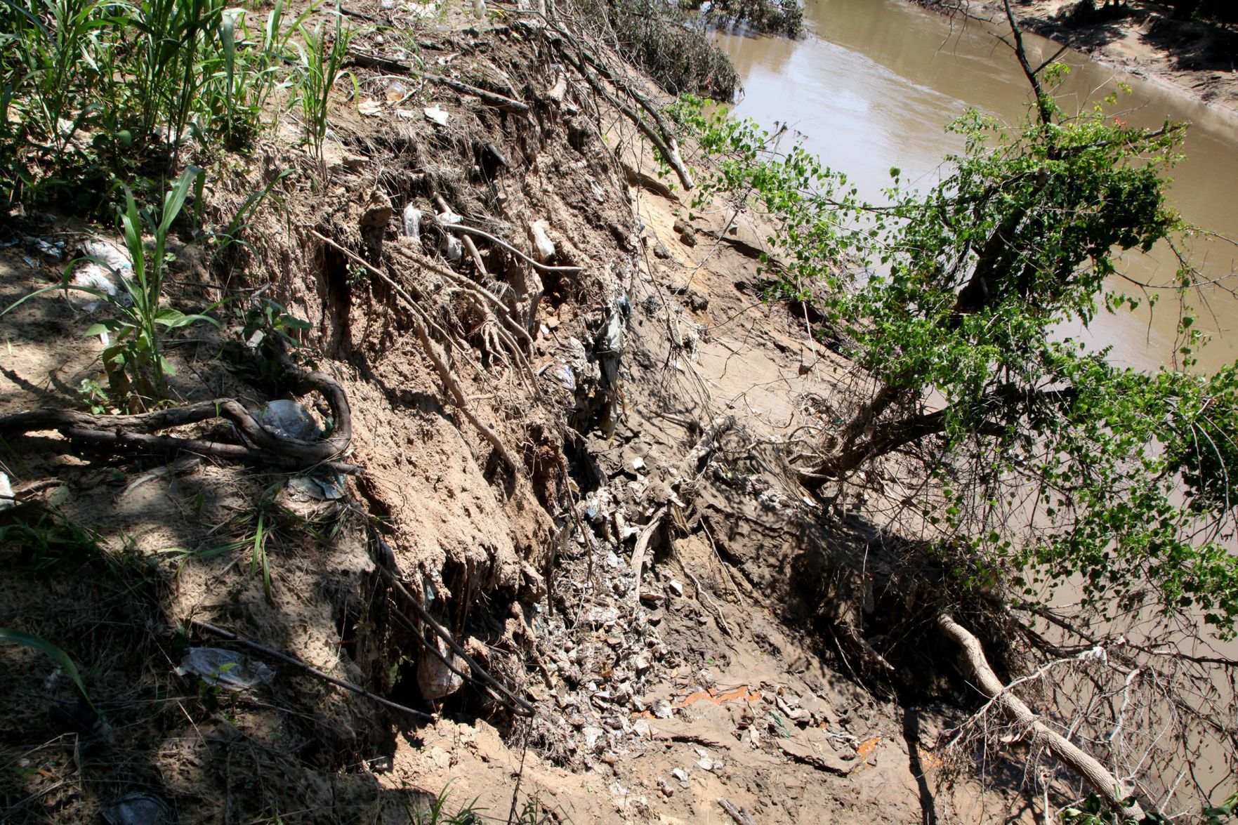 Bird Creek Garbage